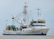NIUPELALIP No.8