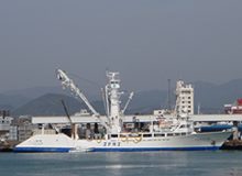 WAKABA MARU No.6